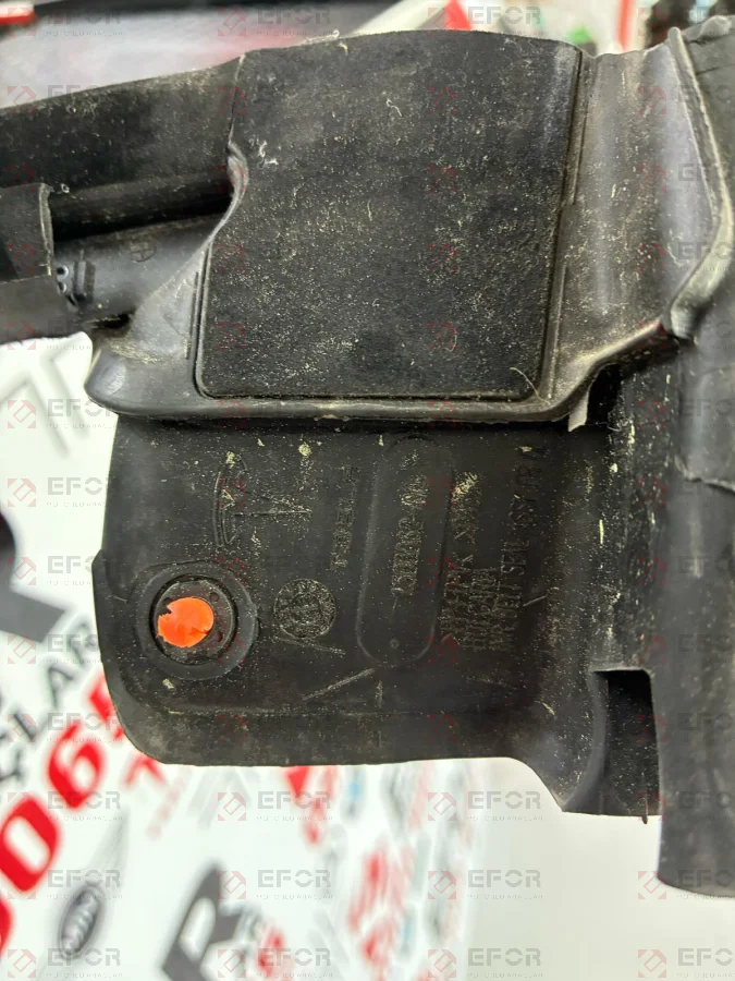 TESLA Model Y Ön Kapı