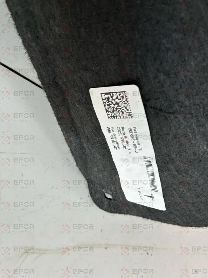 TESLA Model Y Arka Kapı